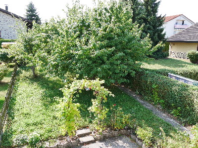 Blick in den Garten- M