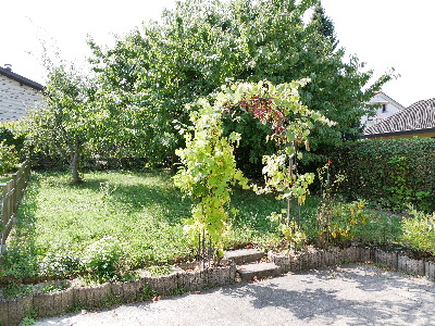 Terrasse mit Garten- M