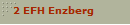 2 EFH Enzberg