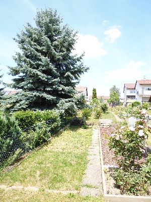 eigener Gartenanteil -M